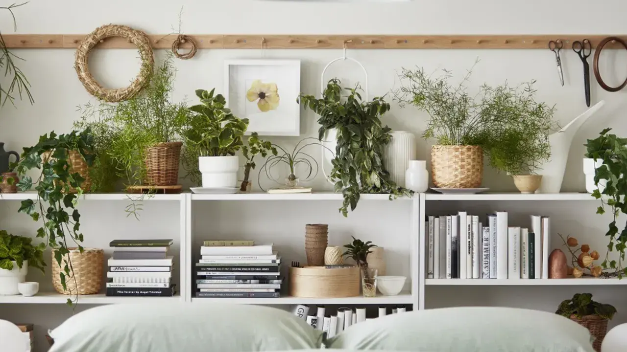 Estanterías llenas de plantas para el dormitorio, libros y objetos decorativos.