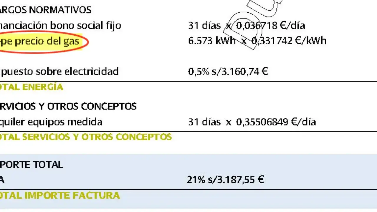 Detalle de factura: "pe precio del gas" y otros conceptos. ¿Es normal pagar 200 euros de luz?