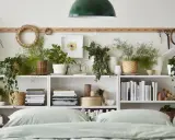 Estanterías llenas de plantas para el dormitorio, libros y objetos decorativos.