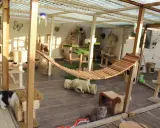 Un patio para gatos con hamaca, rascadores y túneles. Ideal para saber como cerrar un patio para gatos y que estén seguros y entretenidos.