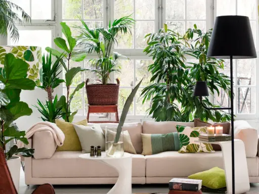 Un salón lleno de vida con muchas plantas, ideal para decorar con plantas el salón y crear un oasis verde.