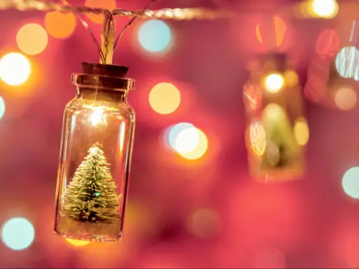 Luces de Navidad en frascos con mini árboles. ¿Cuánto consumen las luces de Navidad?