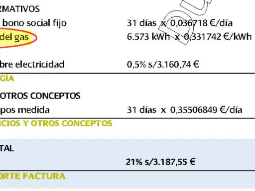 Detalle de factura: "pe precio del gas" y otros conceptos. ¿Es normal pagar 200 euros de luz?