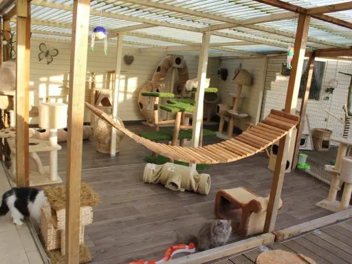Un patio para gatos con hamaca, rascadores y túneles. Ideal para saber como cerrar un patio para gatos y que estén seguros y entretenidos.