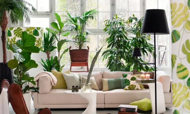 Un salón lleno de vida con muchas plantas, ideal para decorar con plantas el salón y crear un oasis verde.