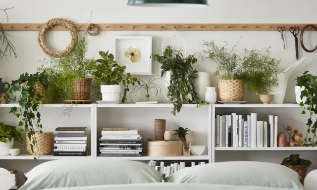Estanterías llenas de plantas para el dormitorio, libros y objetos decorativos.