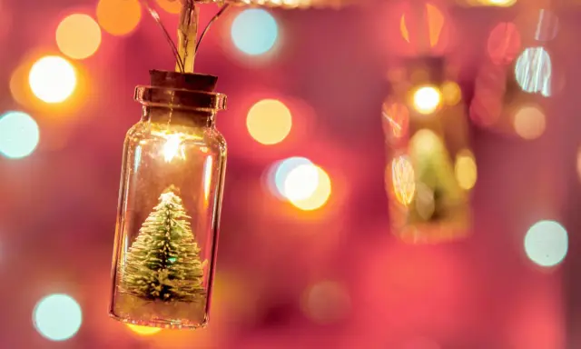 Luces de Navidad en frascos con mini árboles. ¿Cuánto consumen las luces de Navidad?