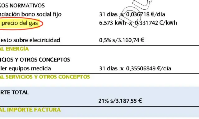 Detalle de factura: "pe precio del gas" y otros conceptos. ¿Es normal pagar 200 euros de luz?
