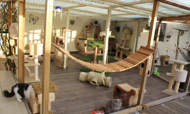 Un patio para gatos con hamaca, rascadores y túneles. Ideal para saber como cerrar un patio para gatos y que estén seguros y entretenidos.