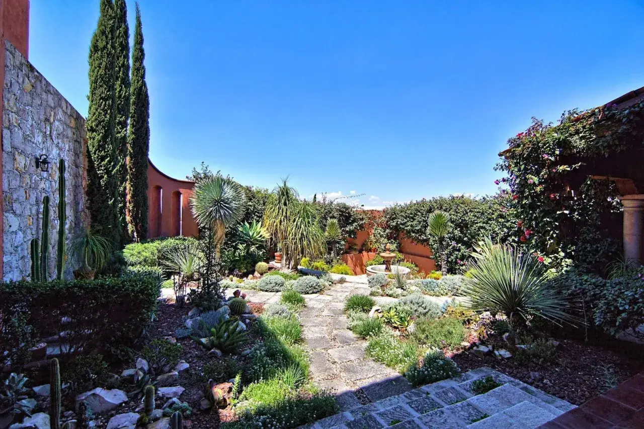 Un jardín con senderos de piedra, rodeado de exuberante vegetación, cactus y suculentas, bajo un cielo azul intenso.
